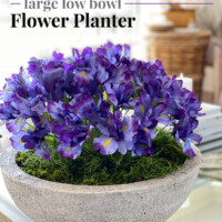 Purple iris in large concrete low bowl planter on a coffee table. Text overlay says DIY large low bowl flower planter.