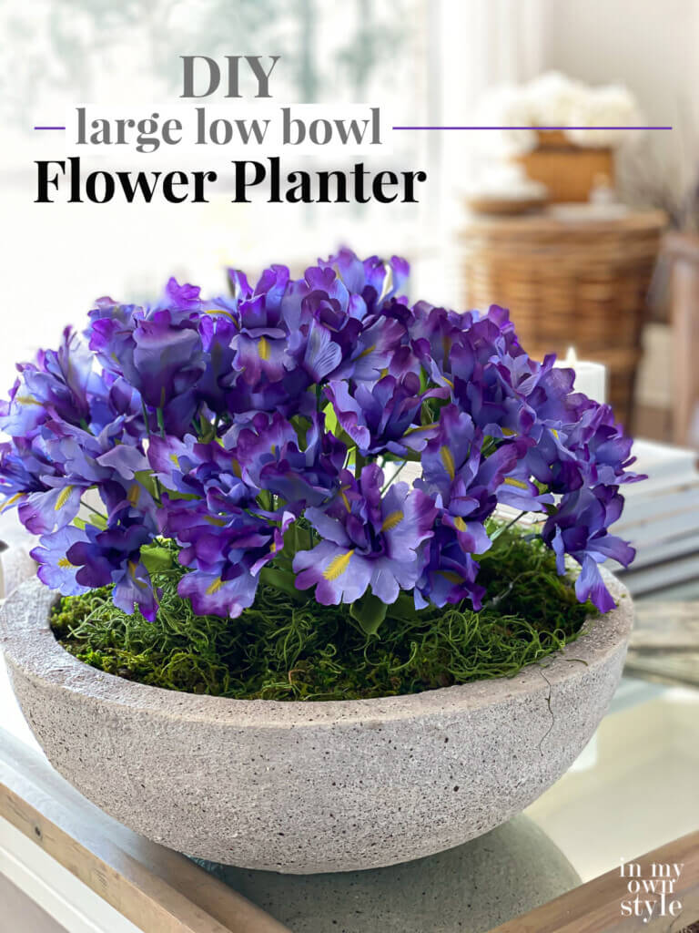 Purple iris in large concrete low bowl planter on a coffee table. Text overlay says DIY large low bowl flower planter.