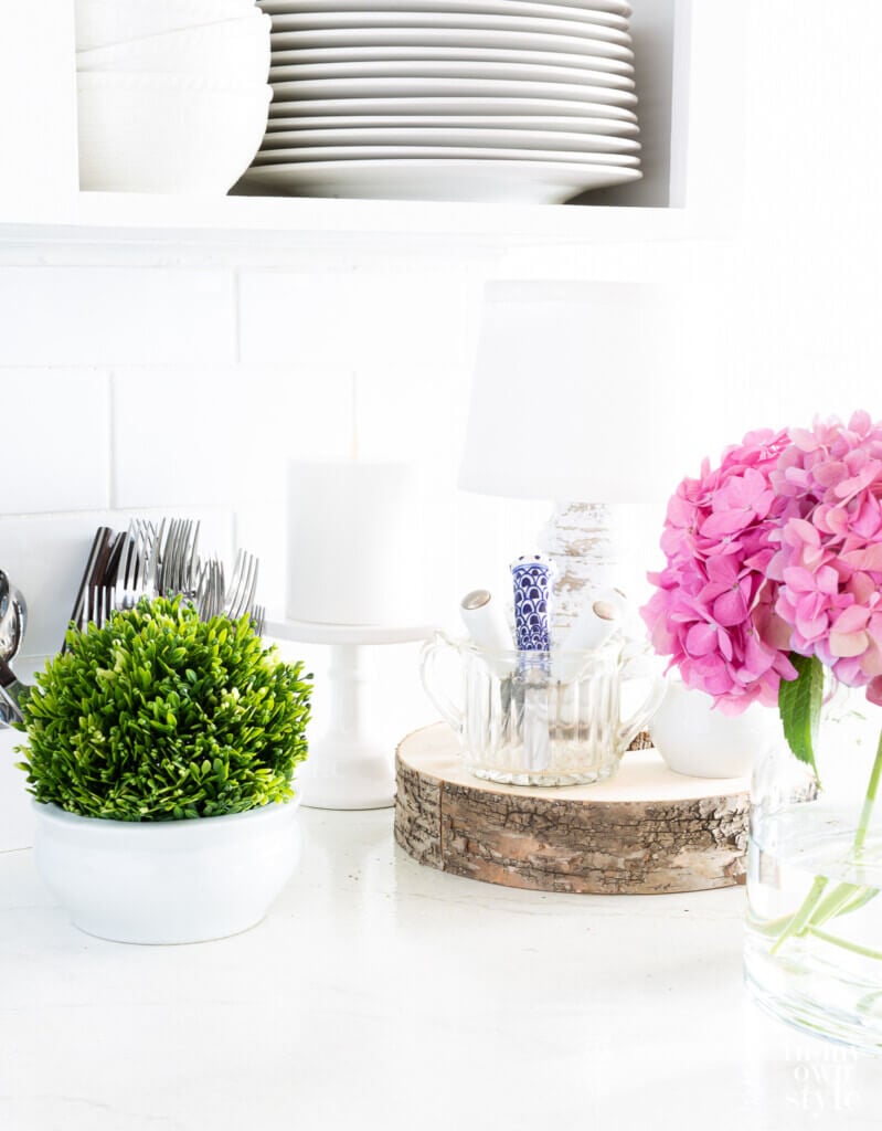 plant and flower on kitchen counter