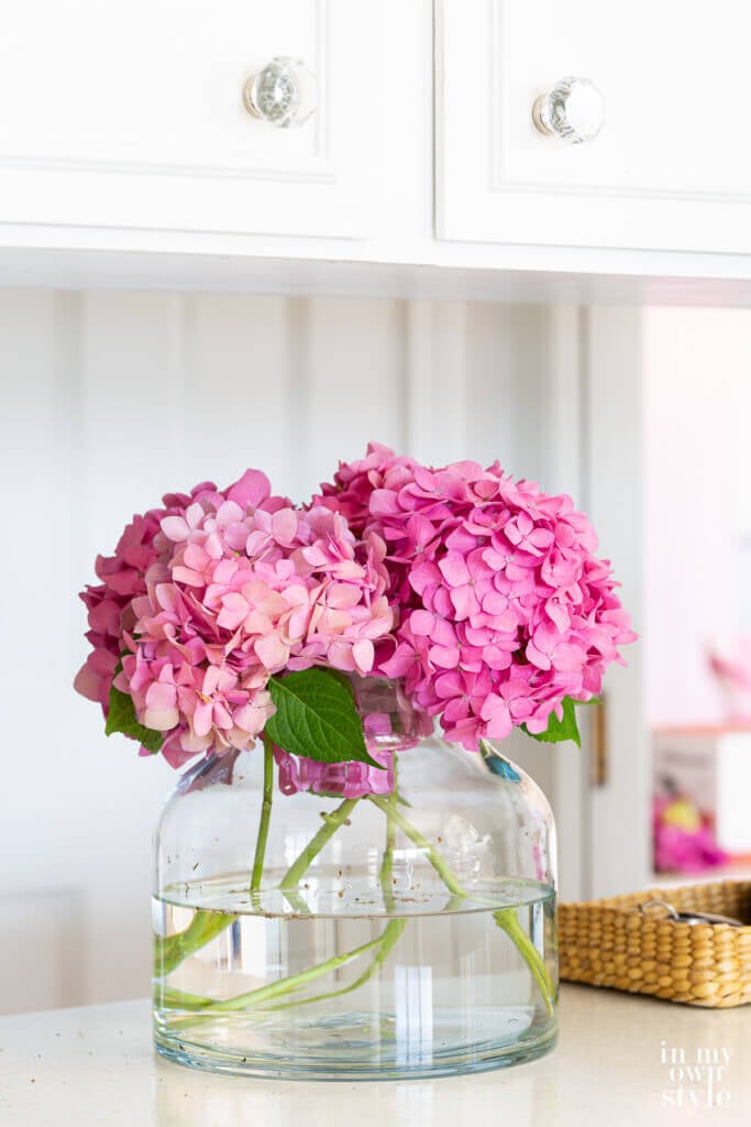 Pink hydrangeas on a kitchen counter
