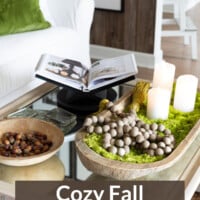 Moody cozy style for a living room without pumpkins.