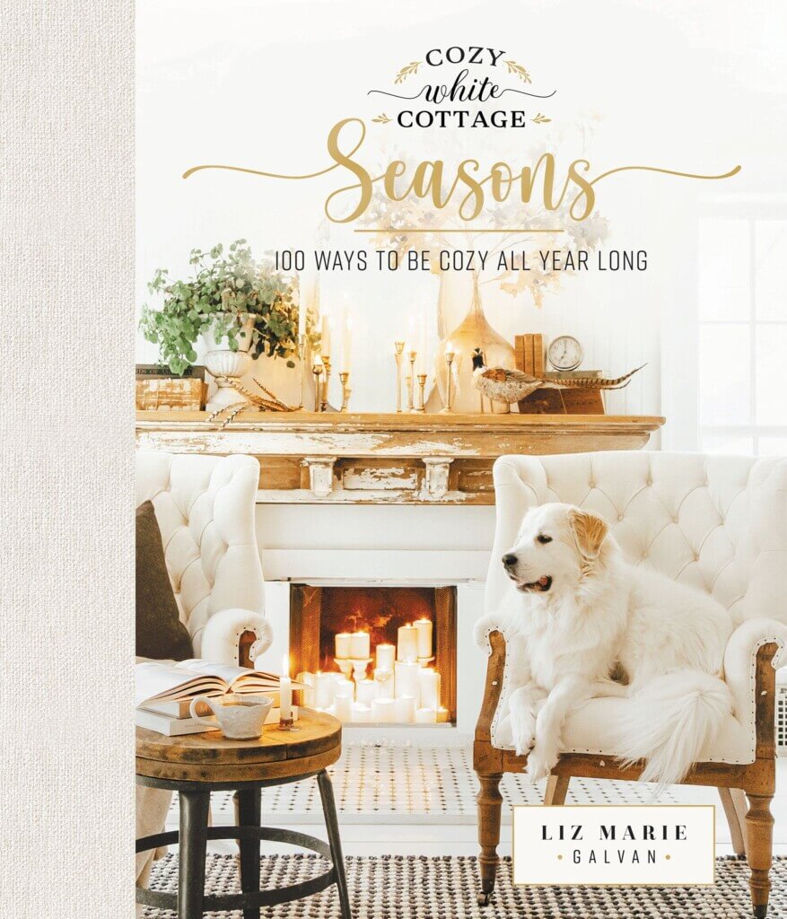 Cozy White Seasons