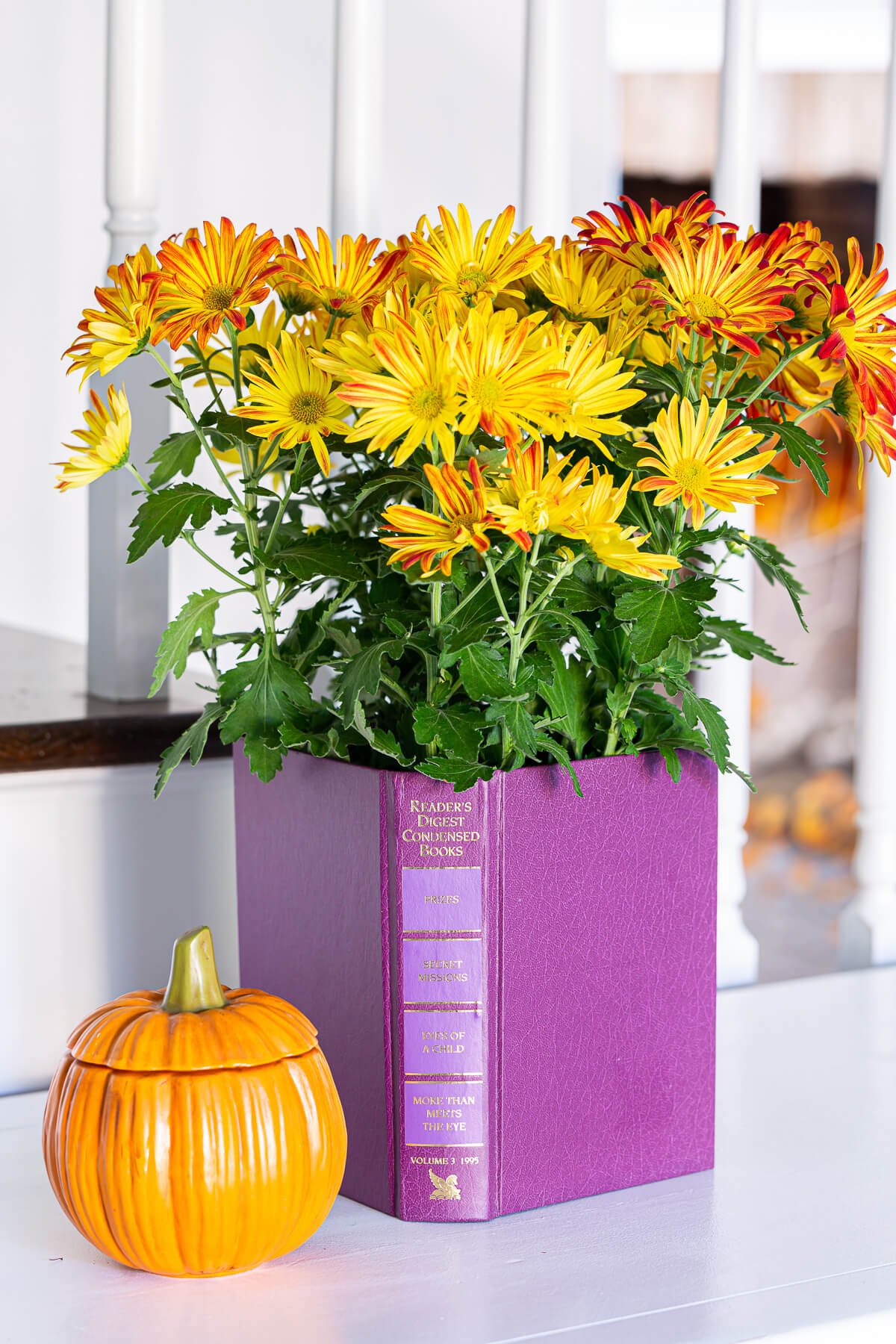 Home Decorating idea using books - a mum planter pot cover.