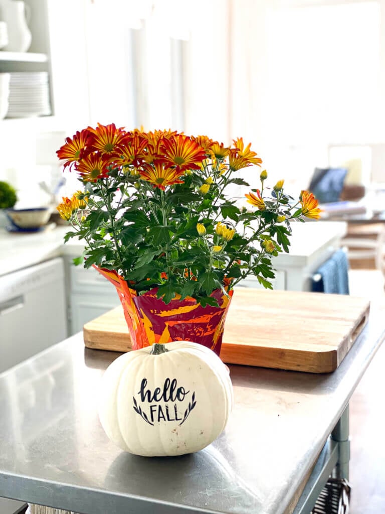 fall flowers in foil covered plastic pot on a kitchen island.