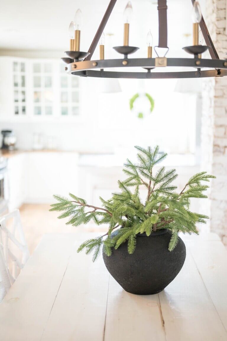 small pine tree in black planter on table from Katrina and Co