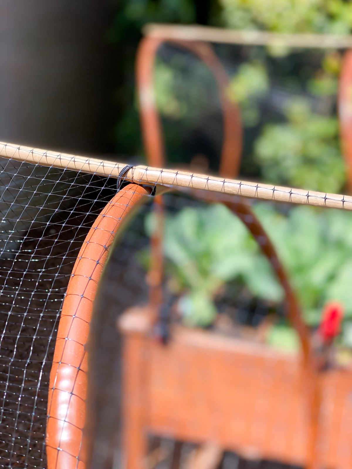 how to attach bamboo stake to hoop to protect garden from pests.