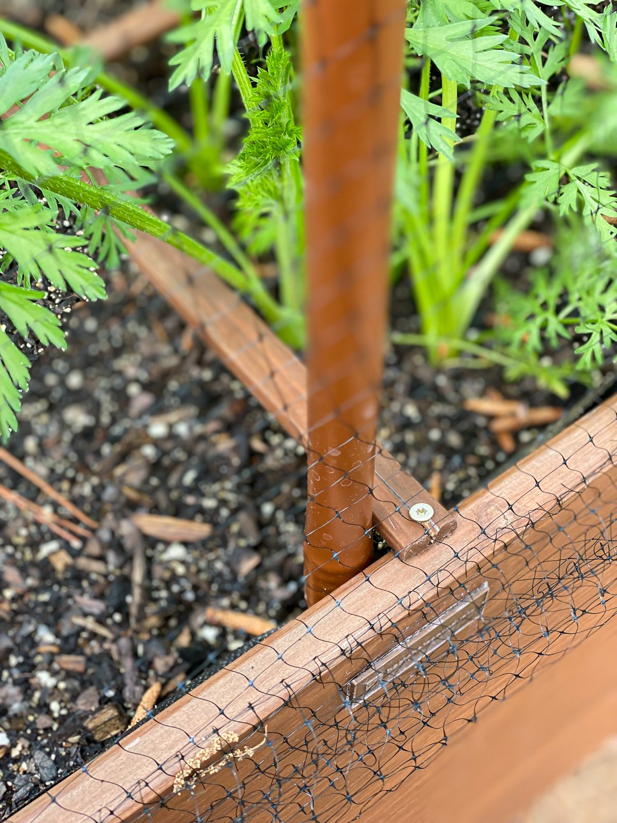 where to place stakes and hose in garden planter.