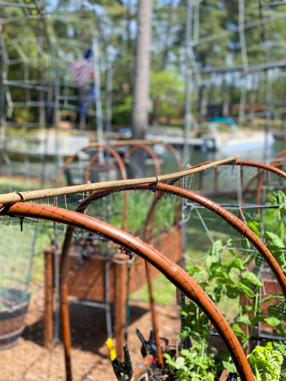 3 hoops fill each raised garden box to keep out squirrels and birds