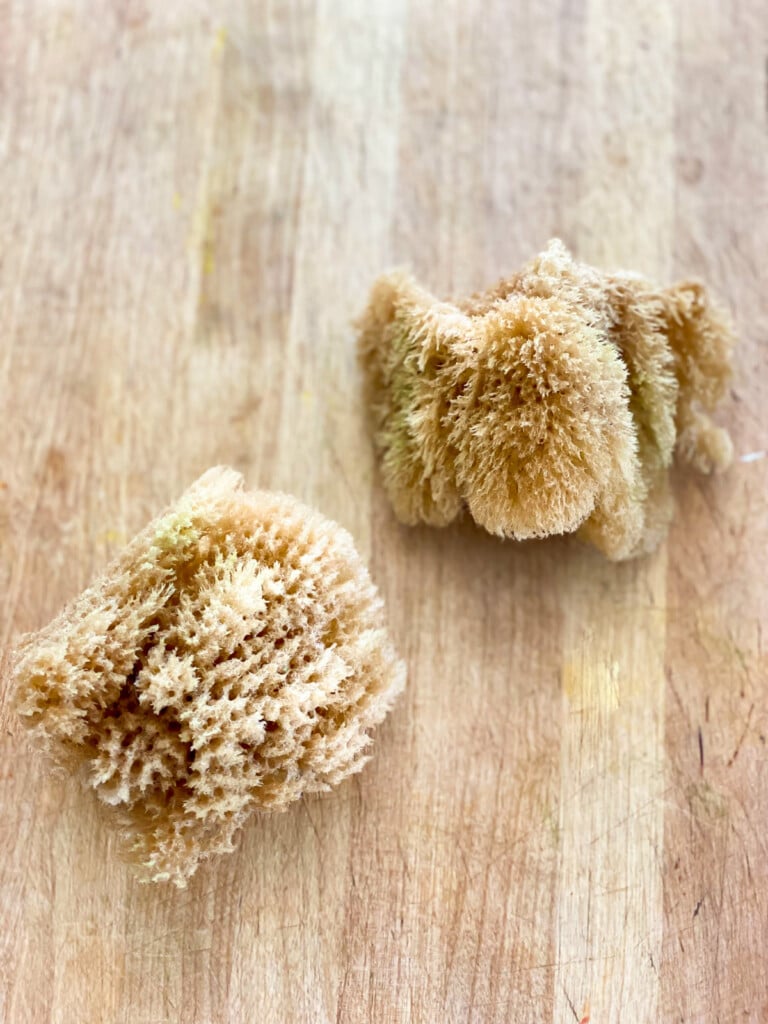 two sea sponges used to apply a paint and glaze mix to create antique furniture makeovers with paint.