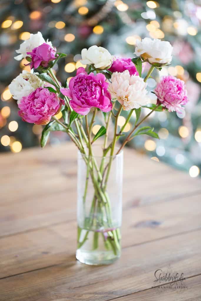 peonies in a glass vase