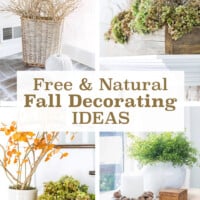 4 fall decorating projects that are from nature. Text says Free & Natural Fall Decorating Ideas