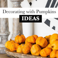 Mini pumpkins in a dough bowl