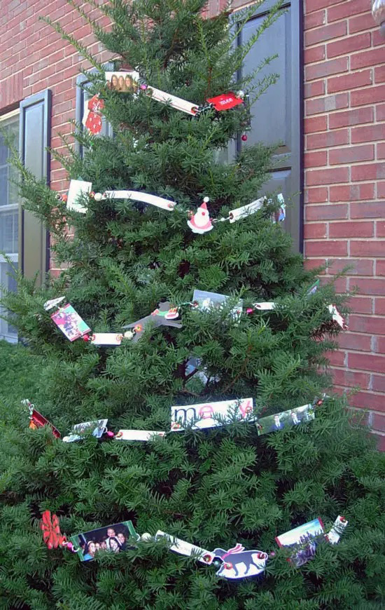DIY-greeting-card-garland-on-outdoor-Christmas-tree