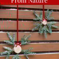Christmas Decor From Nature