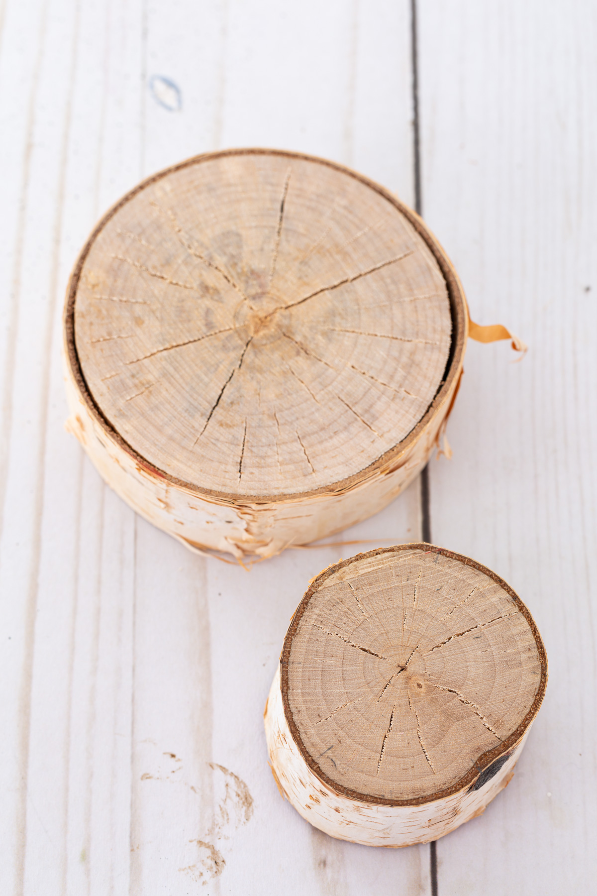 2 birch tree trunk slices ready to be made into Christmas decorations