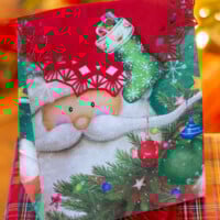 Reused Santa gift bag get as new look.