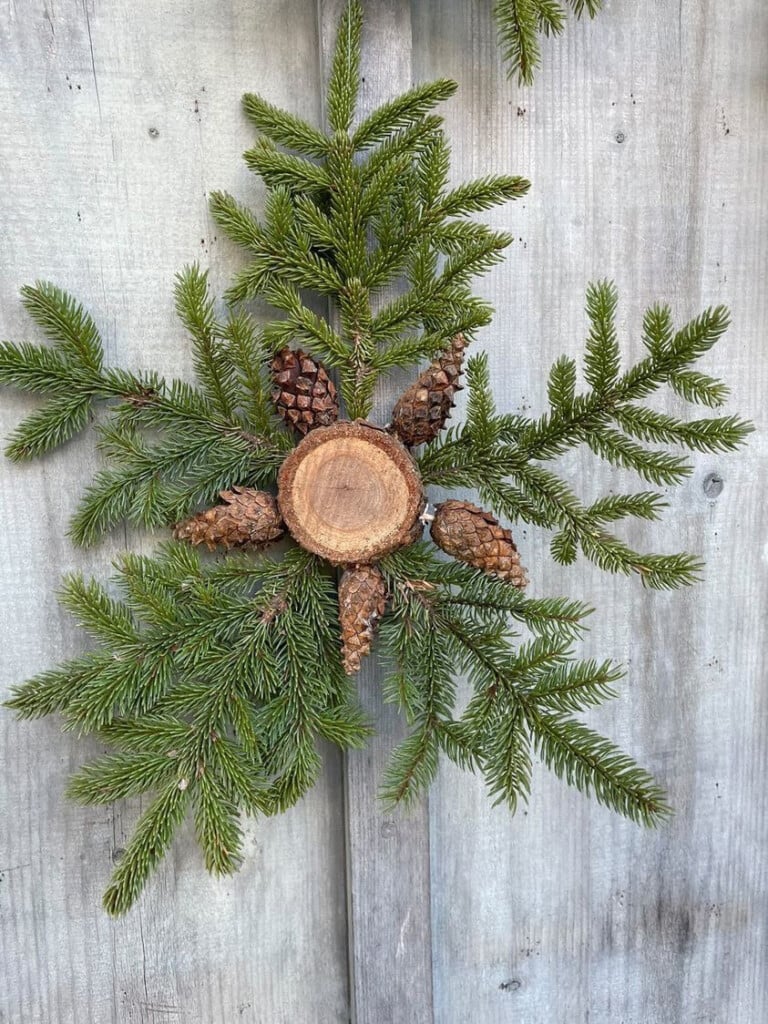 a slice of a spruce tree that resembles a star