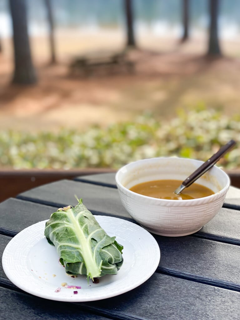 plant based lunch outside