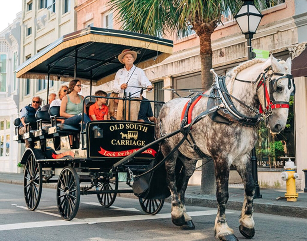 Charleston,-SC-Carriage-tour