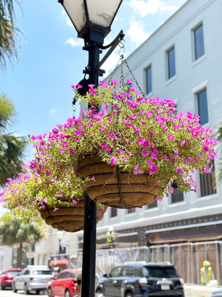 Hanging flower baskets on a light pole on King Street in Charleston, SC