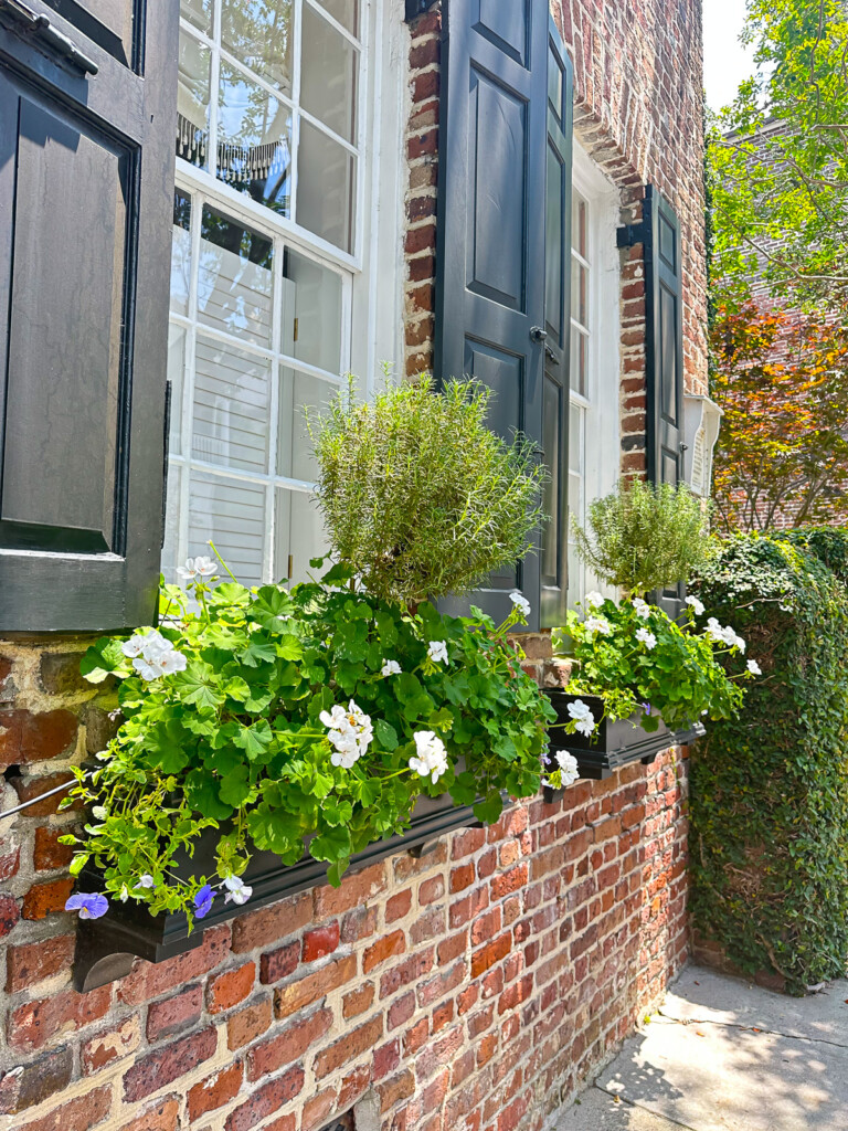 flower boxes with white geraniums on a brick house