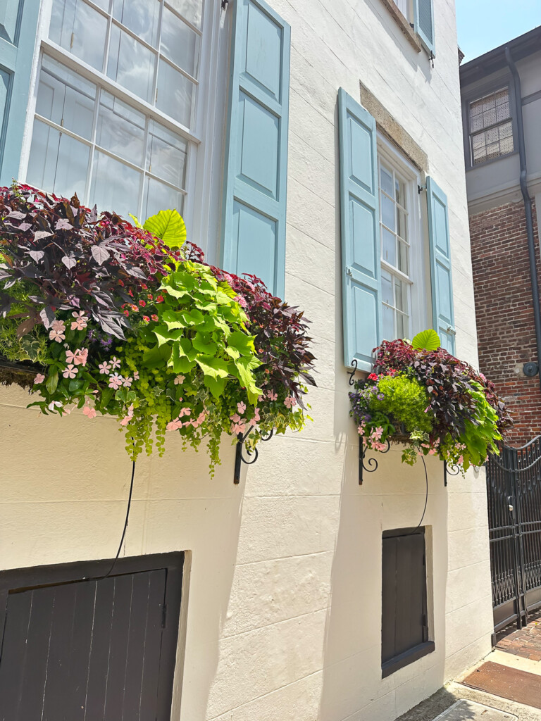 2 flower boxes showcasing windows on a pale yellow house.