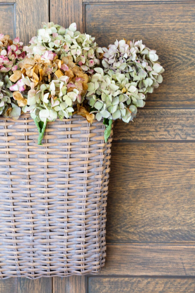 Close up of a hanging wall basket with dried hydrangeas.