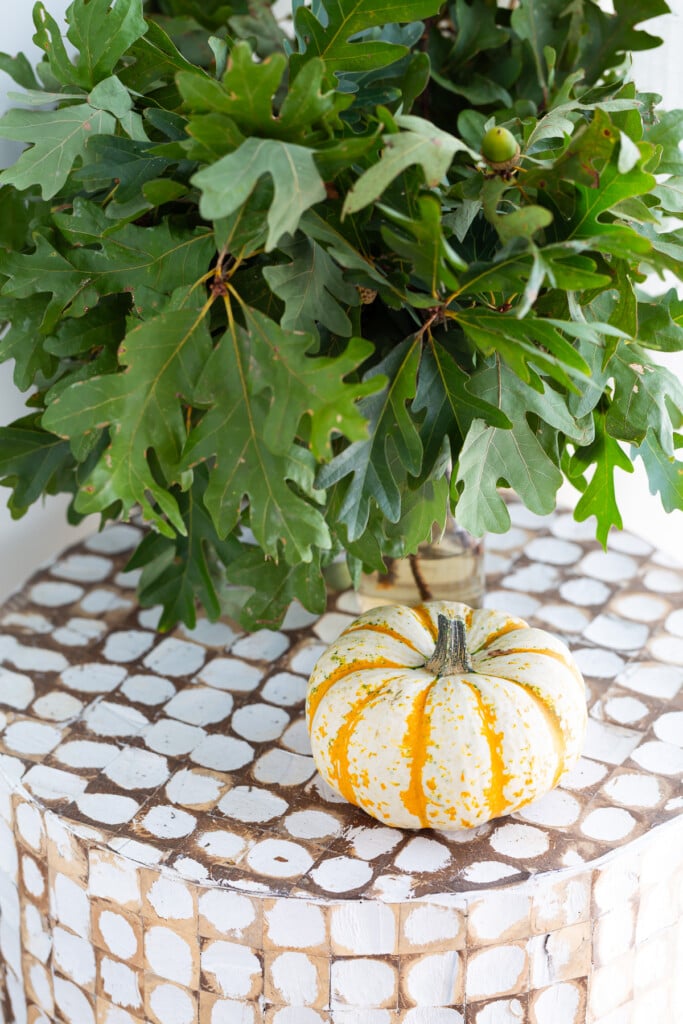Mini tiger pumpkin on accent table with vase full of green leaves next to it.