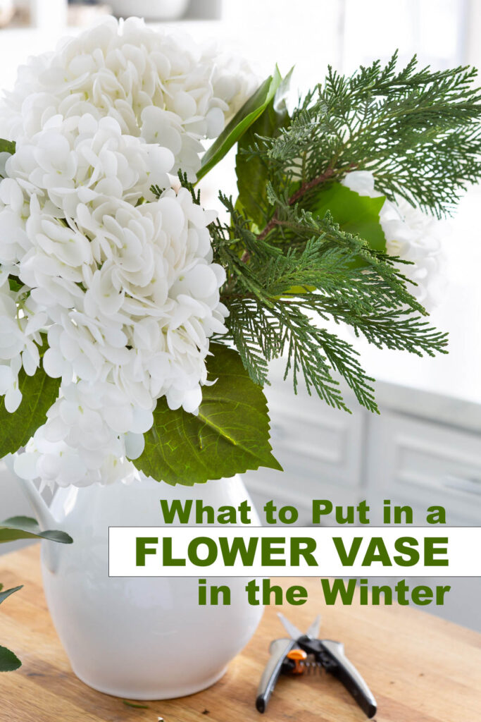 White hydrangeas and cedar in a white pitcher. Text overlay says what to put in a flower vase in the winter