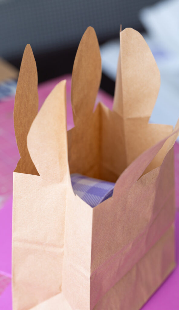 Excess bag to cut off of bunny ear bag.