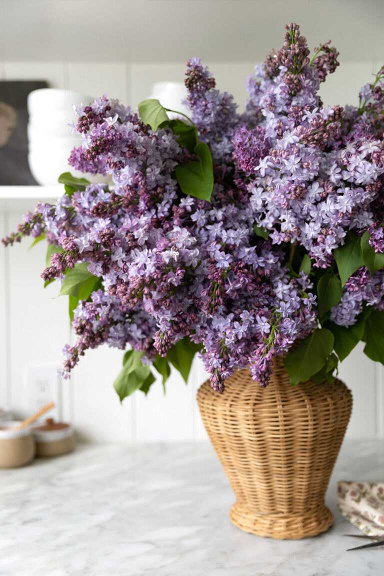 Lilacs in a wicker vase on a marble kitchen counter.