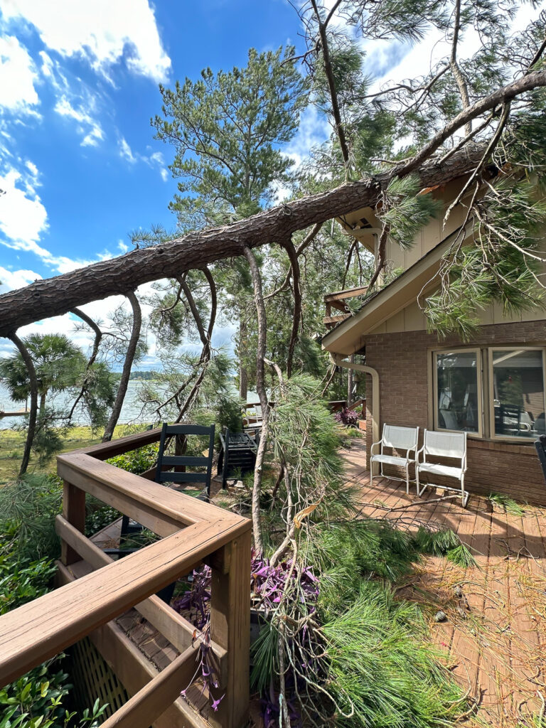 House damage after a tree falls down on it.