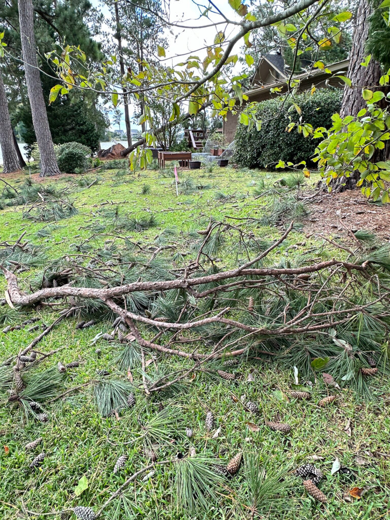 yard debris after Hurricane Helene blew through.
