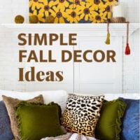 Decorating your house for fall does not have to be over the top with tons of baskets filled with mums and pumpkins. Try some of these simple fall decor ideas that will add a cozy fall vibe without the expense and work.