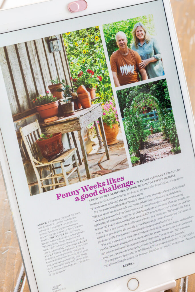 Reading a magazine online using the Libby App on an iPad