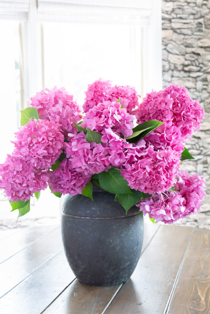 close up of pink hydrangeas in a black planter on a kitchen table