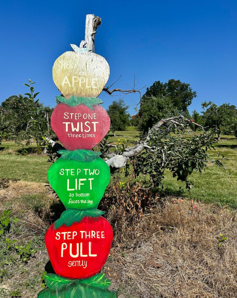 stacked apples shaped sign with instructions on how to take an apple off of a tree.