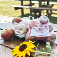 2 bags of just picked apples at the apple Windy Hill Farms orchard in York, SC
