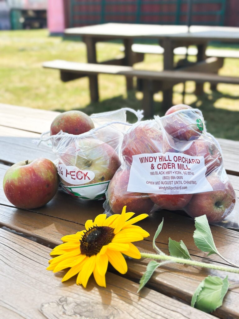 2 bags of just picked apples at the apple Windy Hill Farms orchard in York, SC